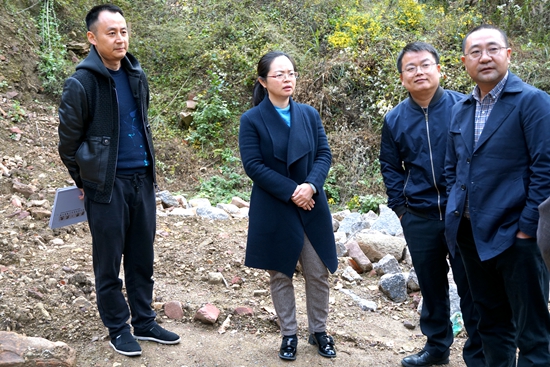 DSC09981_副本.jpg